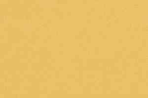 Линолеум Forbo Sarlon Colour 15dB 4805T4315 golden stardust фото  | FLOORDEALER